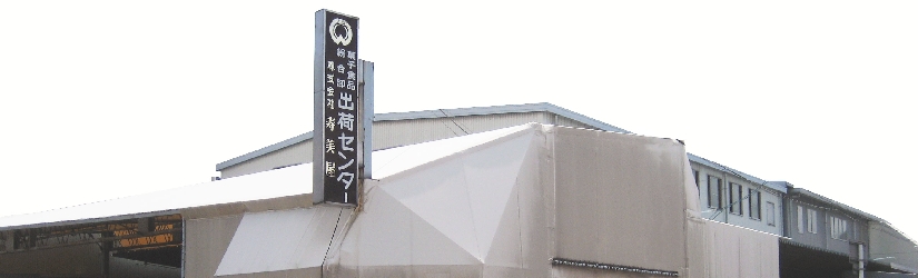 センター画像.jpg